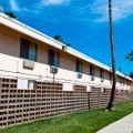 Water Tree Inn Palms #2
