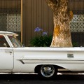 El Camino en Casa del Mar #1
