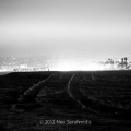 Mission Beach Night #12 BW