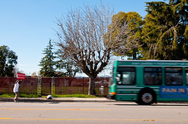 Albany Streetscape #143