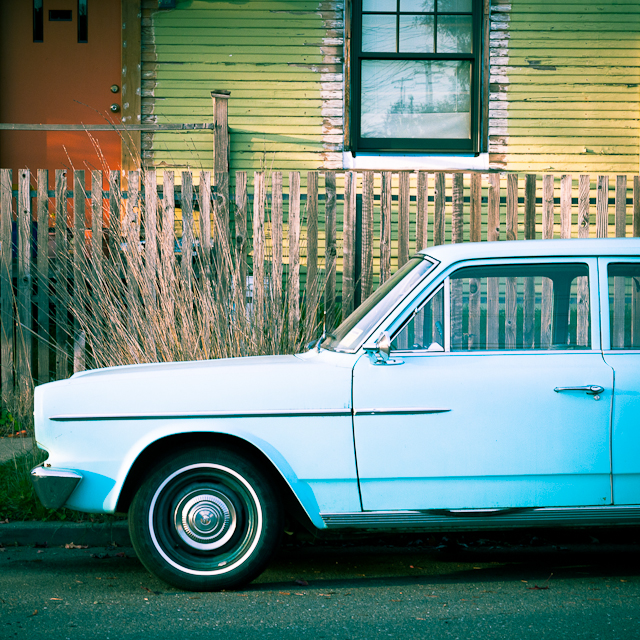 Blue Rambler / © neo serafimidis 2011