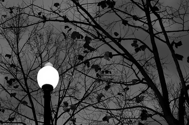 Twilight Lamppost #1